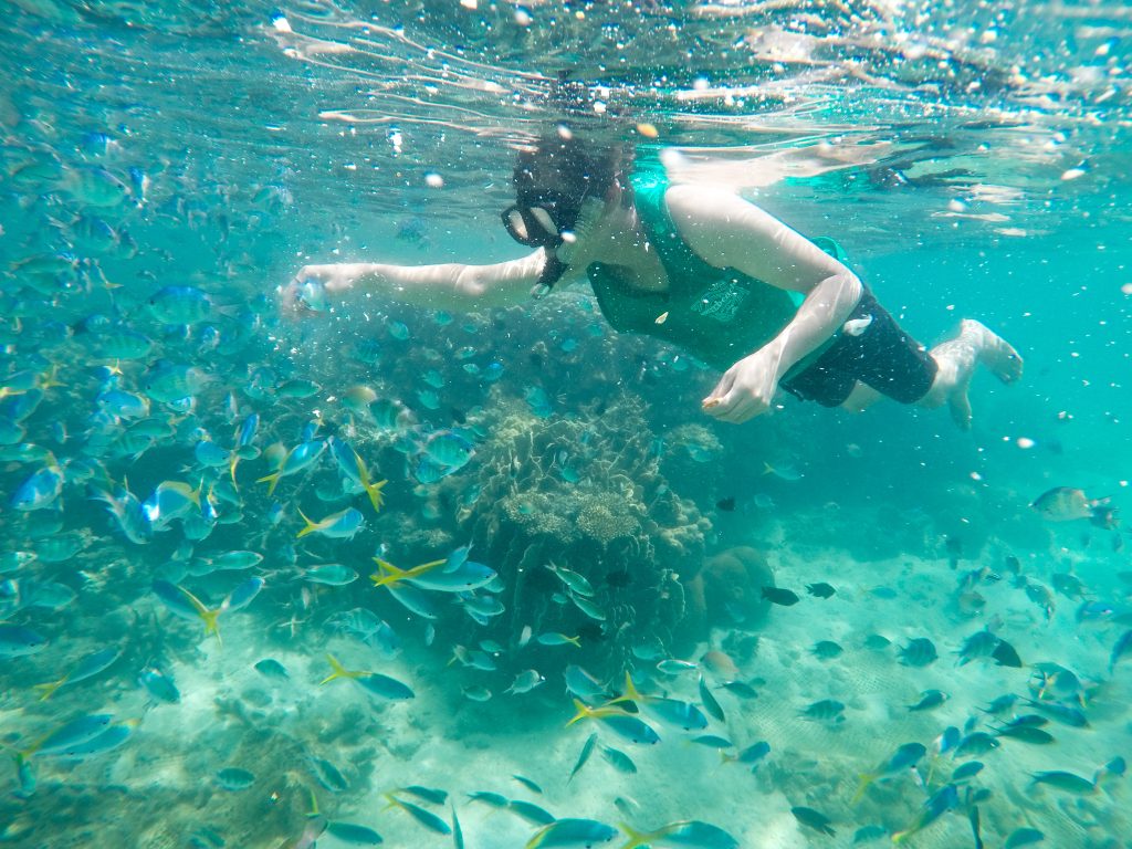 DCIM106GOPROGOPR4582.